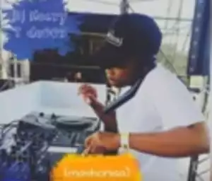 DJ Heavy T de007 - Mashonisa